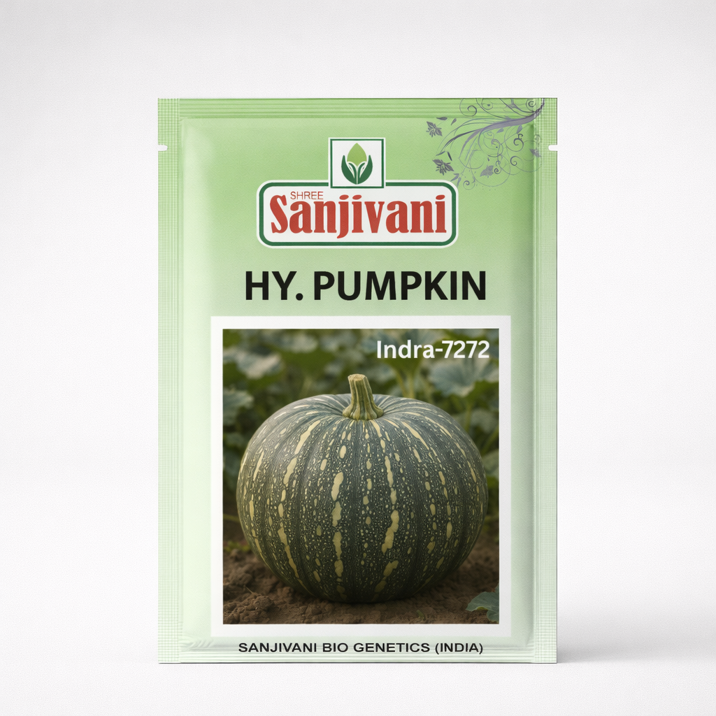 Hybrid Pumpkin Seeds – Indra 7272 | 50 Gram Pack